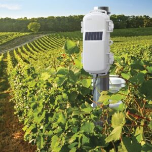 Field Monitoring Techniques